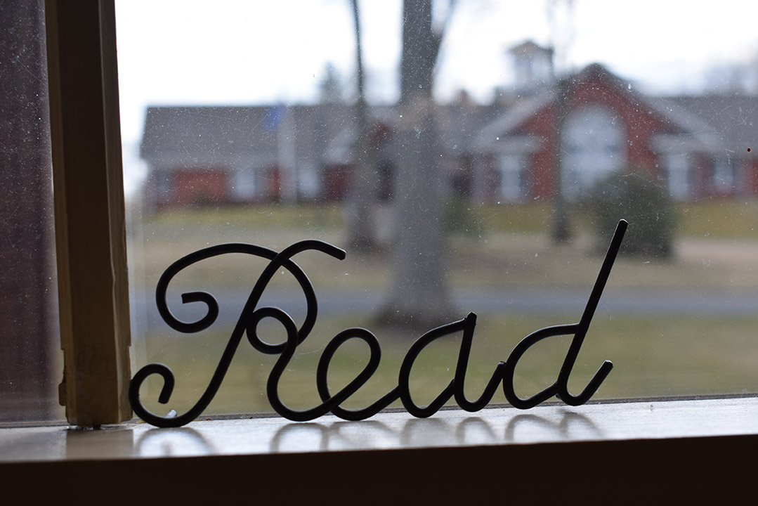 bookshelves at the library