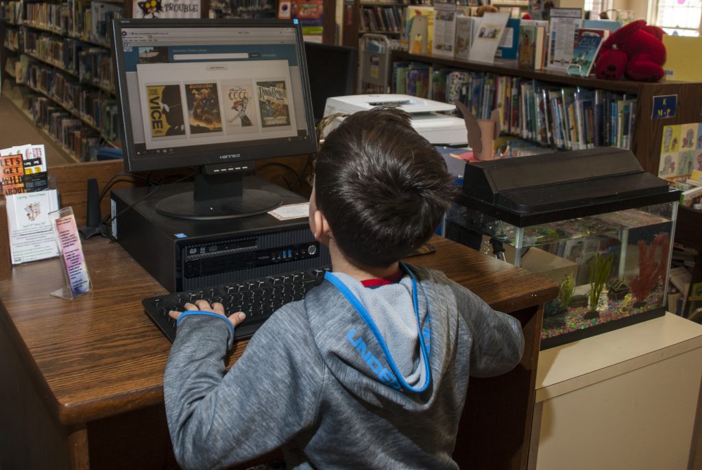 searching library catalog